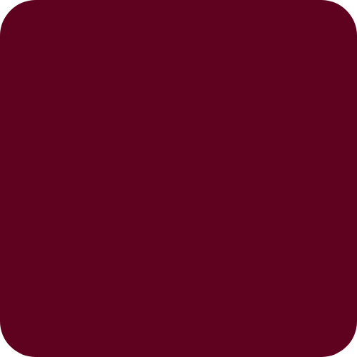 Barva izdelka: Bordeaux