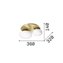 Ninfea Ceiling Light