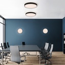Roma Ceiling and Wall Light