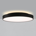 Roma Ceiling and Wall Light
