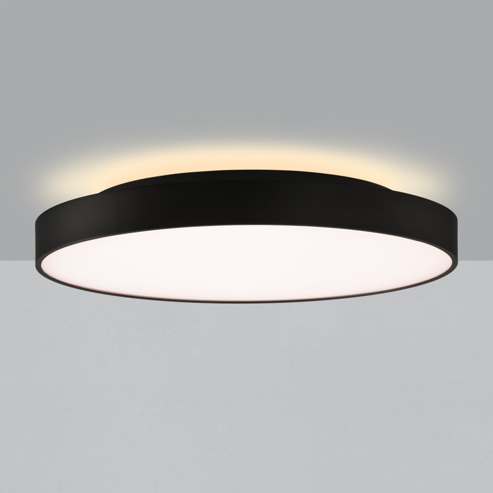 Roma Ceiling and Wall Light