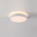 Roma Ceiling and Wall Light