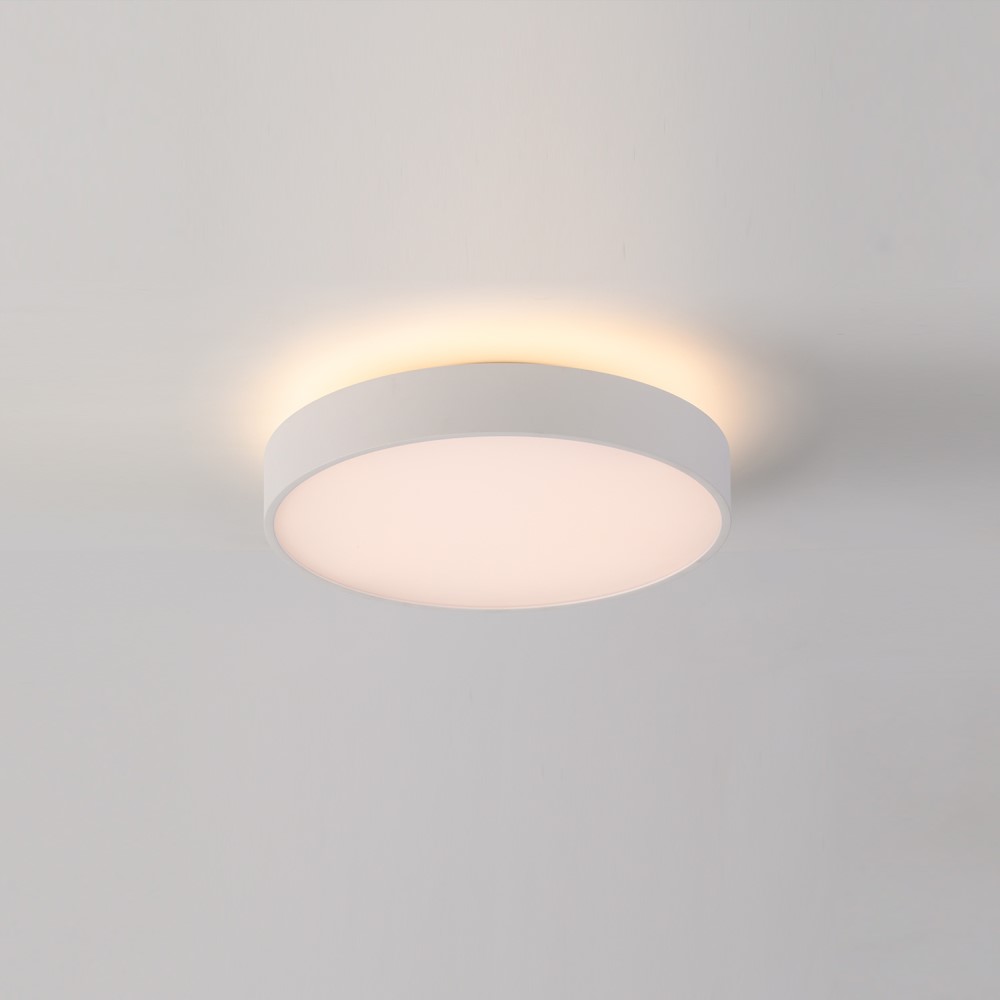 Roma Ceiling and Wall Light