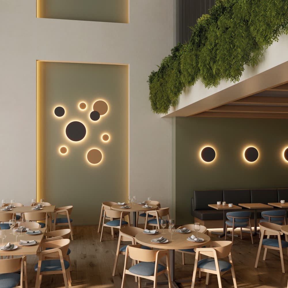 Combo Wall Light