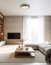 Dins LED Ceiling Light