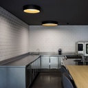 Duo 4872 Ceiling Light