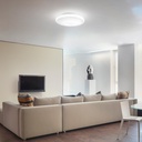Atrium Ceiling Light