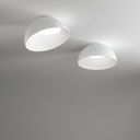 Corolla Ceiling Light