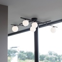 Atlas Ceiling Light