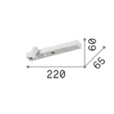 Bonne Wall Light