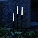 Twiggy Line Bollard