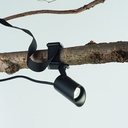 Koala Floodlight
