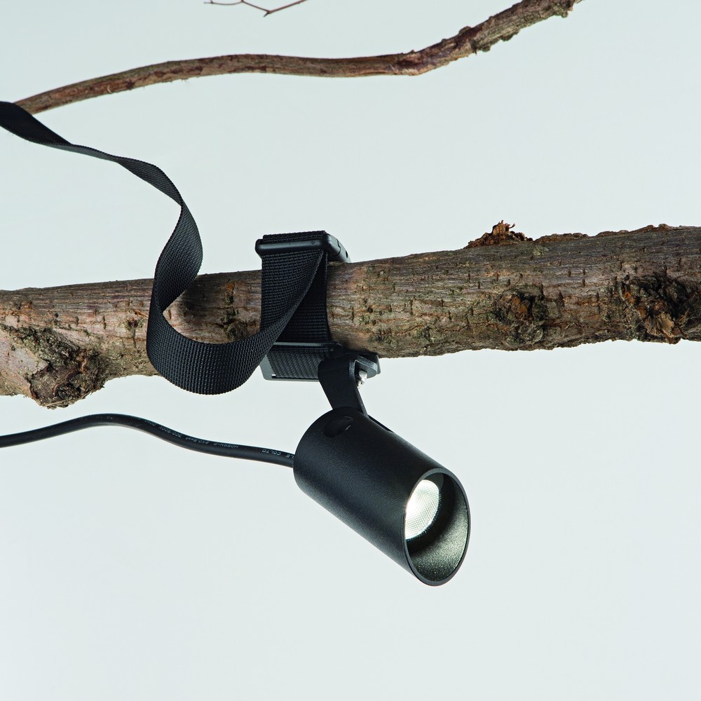 Koala Floodlight