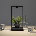 Curiosity Focus Portable Table Lamp