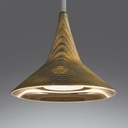 Unterlind Chandelier Free