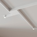 Grid (Globe) Ceiling Light