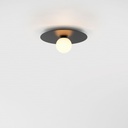 Celeste Ceiling and Wall Light