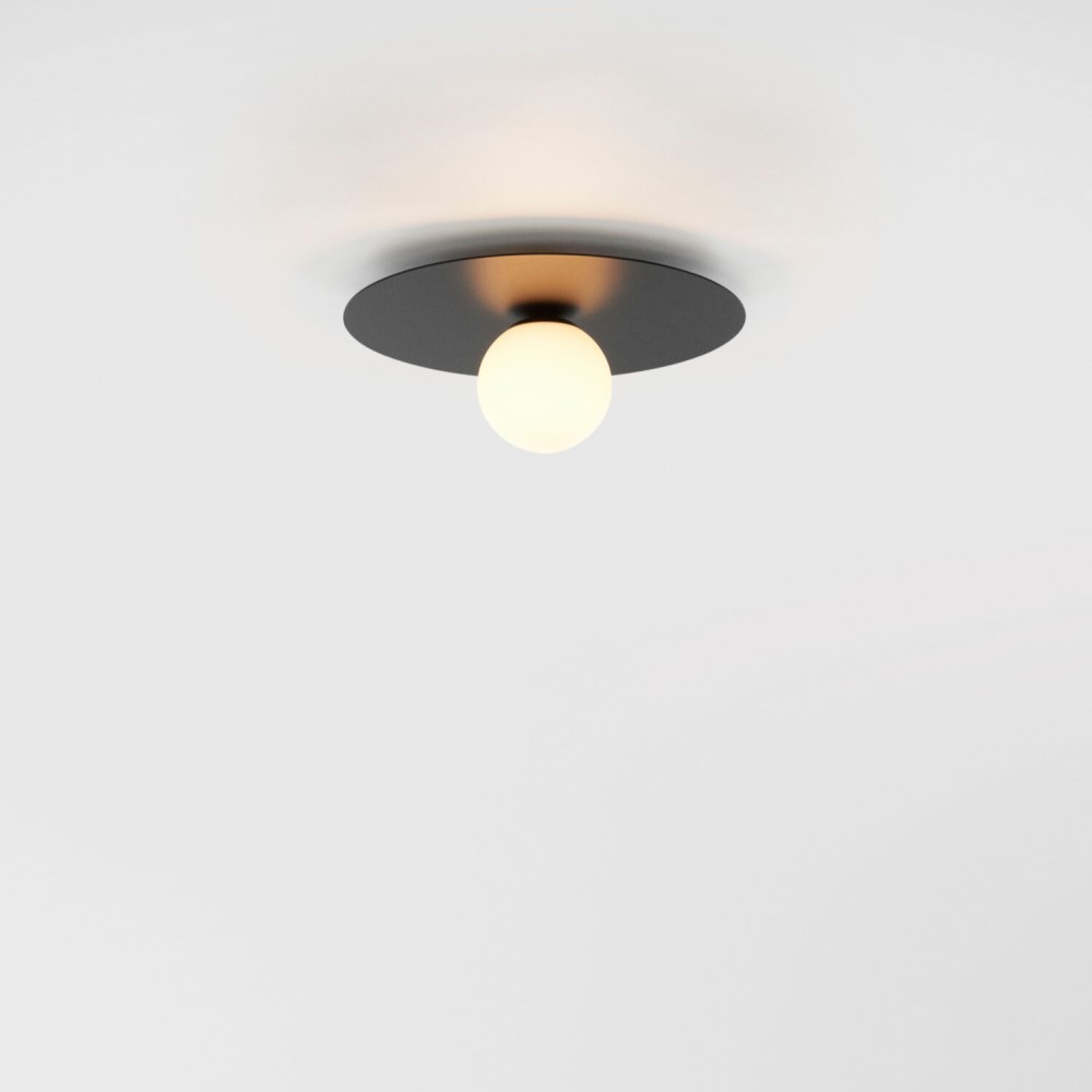 Celeste Ceiling and Wall Light