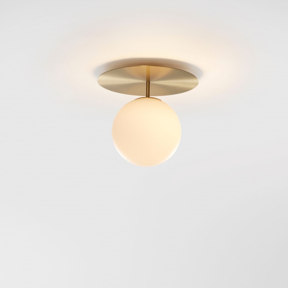Celeste Ceiling and Wall Light