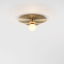 Celeste Ceiling and Wall Light