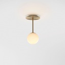 Celeste Ceiling and Wall Light