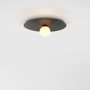 Celeste Ceiling and Wall Light