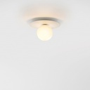 Celeste Ceiling and Wall Light