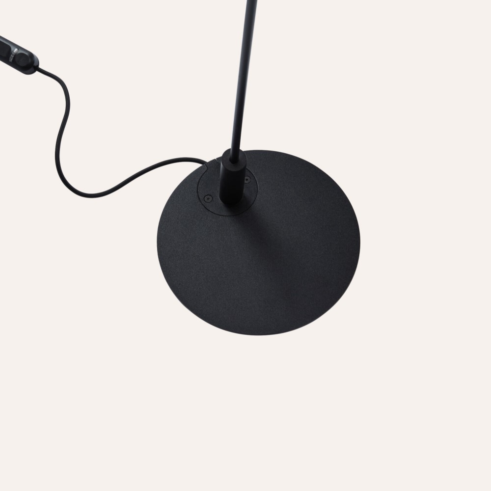 Reach Floor Lamp
