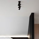 Victor C Ceiling Light