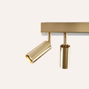 VIc ZB Ceiling Light