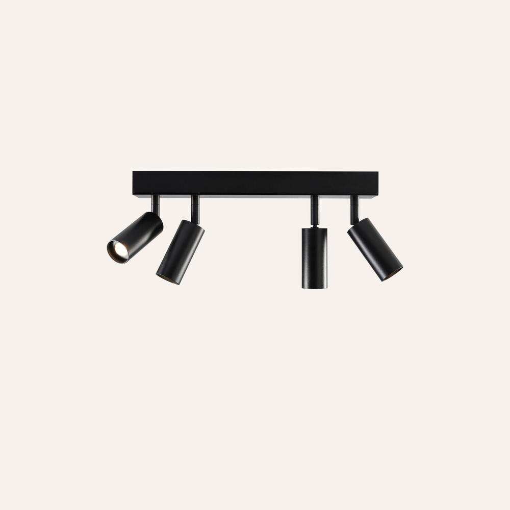 VIc ZB Ceiling Light