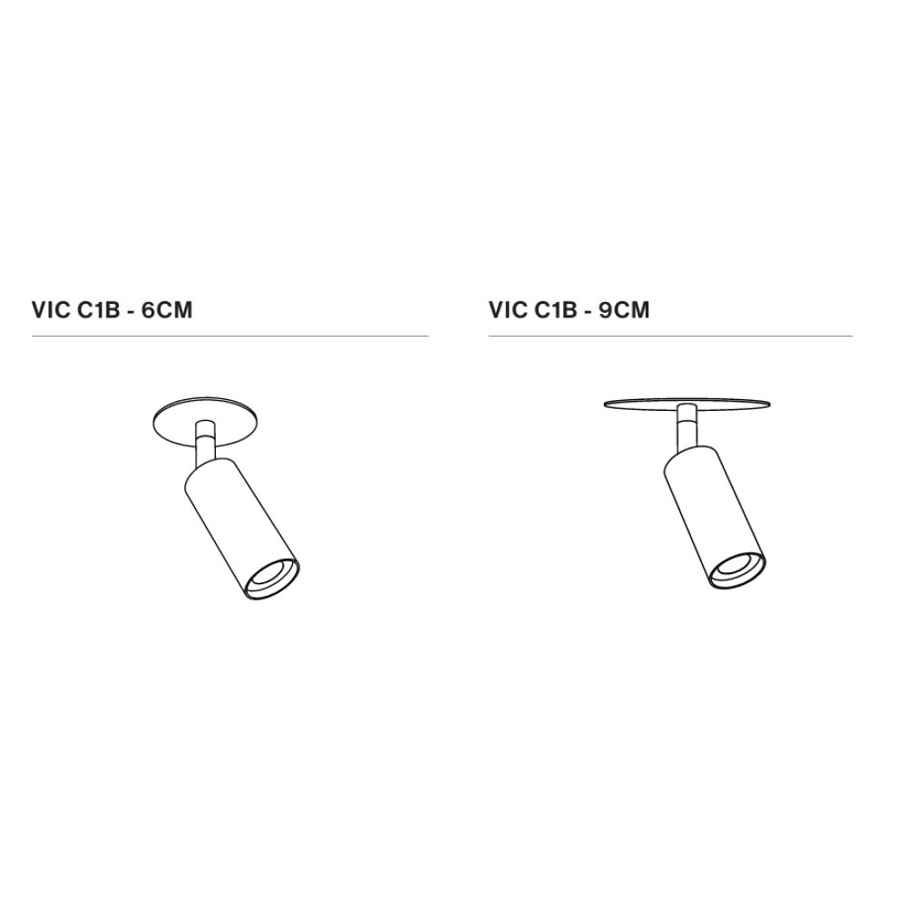 Vic C Spotlight