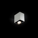 Nero Ceiling Light