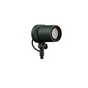 Focus Floodlight