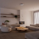 Cozy Cone 2.0 Suspension Lamp