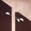 Almendra Organic Suspension Lamp