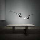 Almendra Organic Suspension Lamp