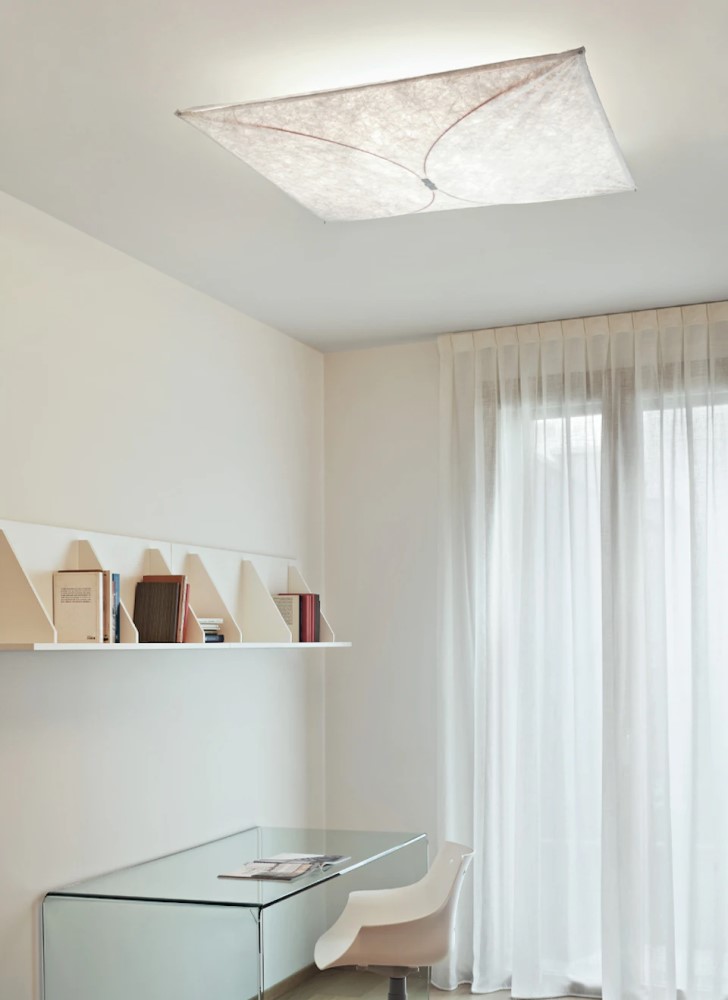 Ariette Wall and Ceiling Light