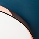 Clara Ceiling and Wall Light