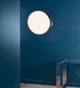 Clara Ceiling and Wall Light