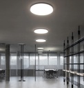 Clara Ceiling and Wall Light
