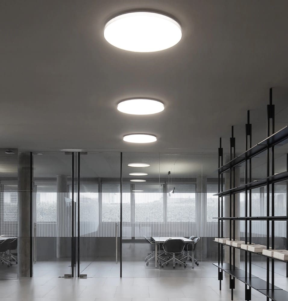 Clara Ceiling and Wall Light