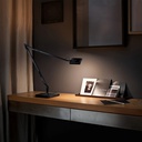 Kelvin LED Base Table Lamp