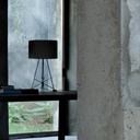 Ray Table Lamp