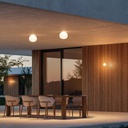 Volum Wall and Ceiling Light
