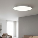 London Ceiling Light