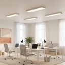 Munich Ceiling Light