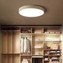 Isia Standard Ceiling Light