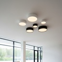 Alis Ceiling and Wall Light