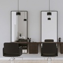 Alis Ceiling and Wall Light
